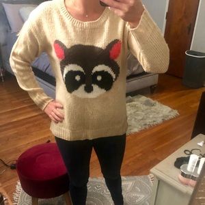 Raccoon sweater
